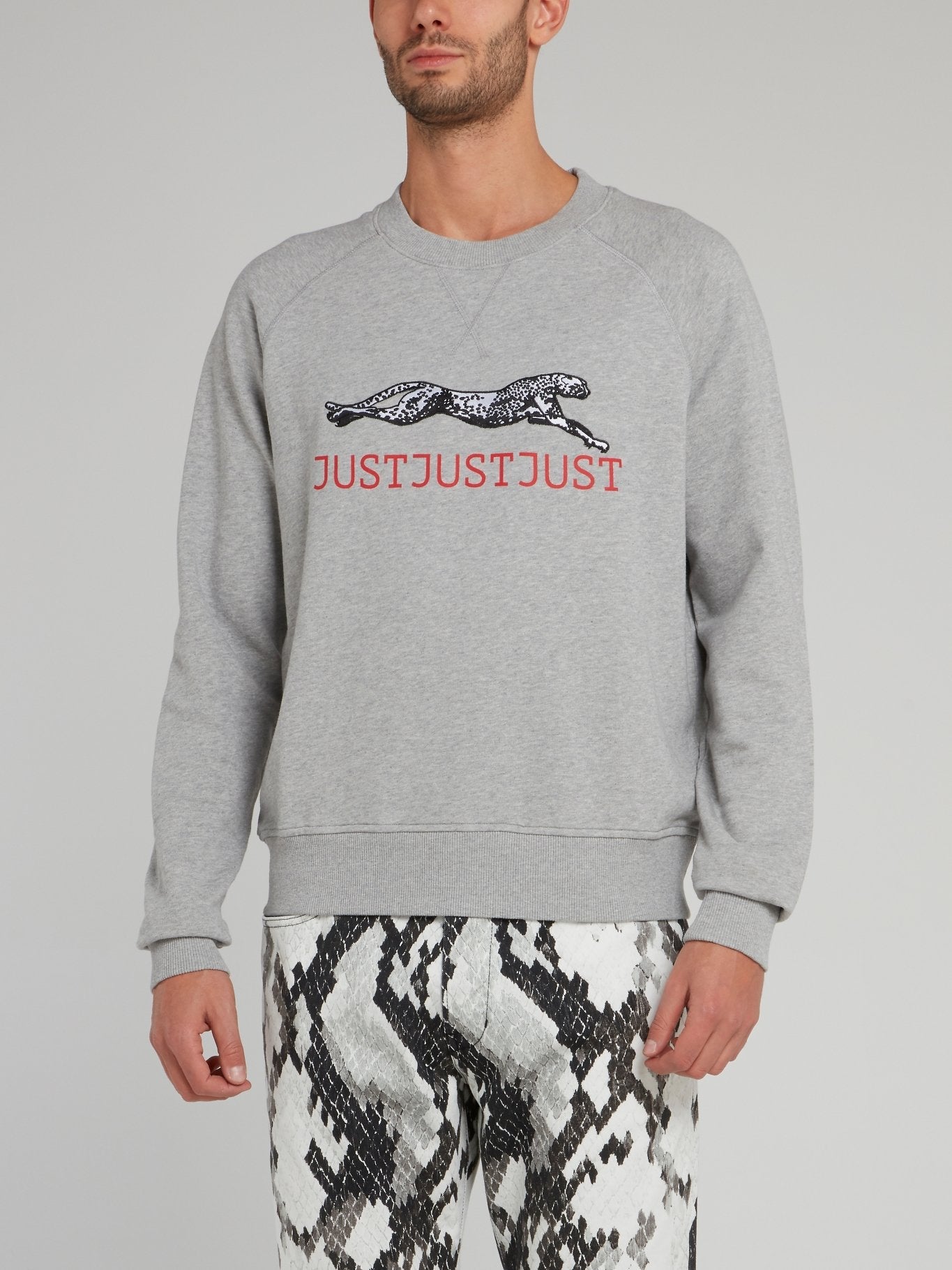 Grey Leopard Logo Cotton Sweatshirt