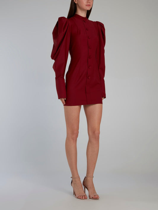 Burgundy Puff Sleeve Mini Dress